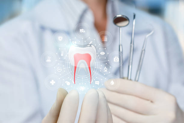 Best Dental Exams and Cleanings  in Riverview, FL